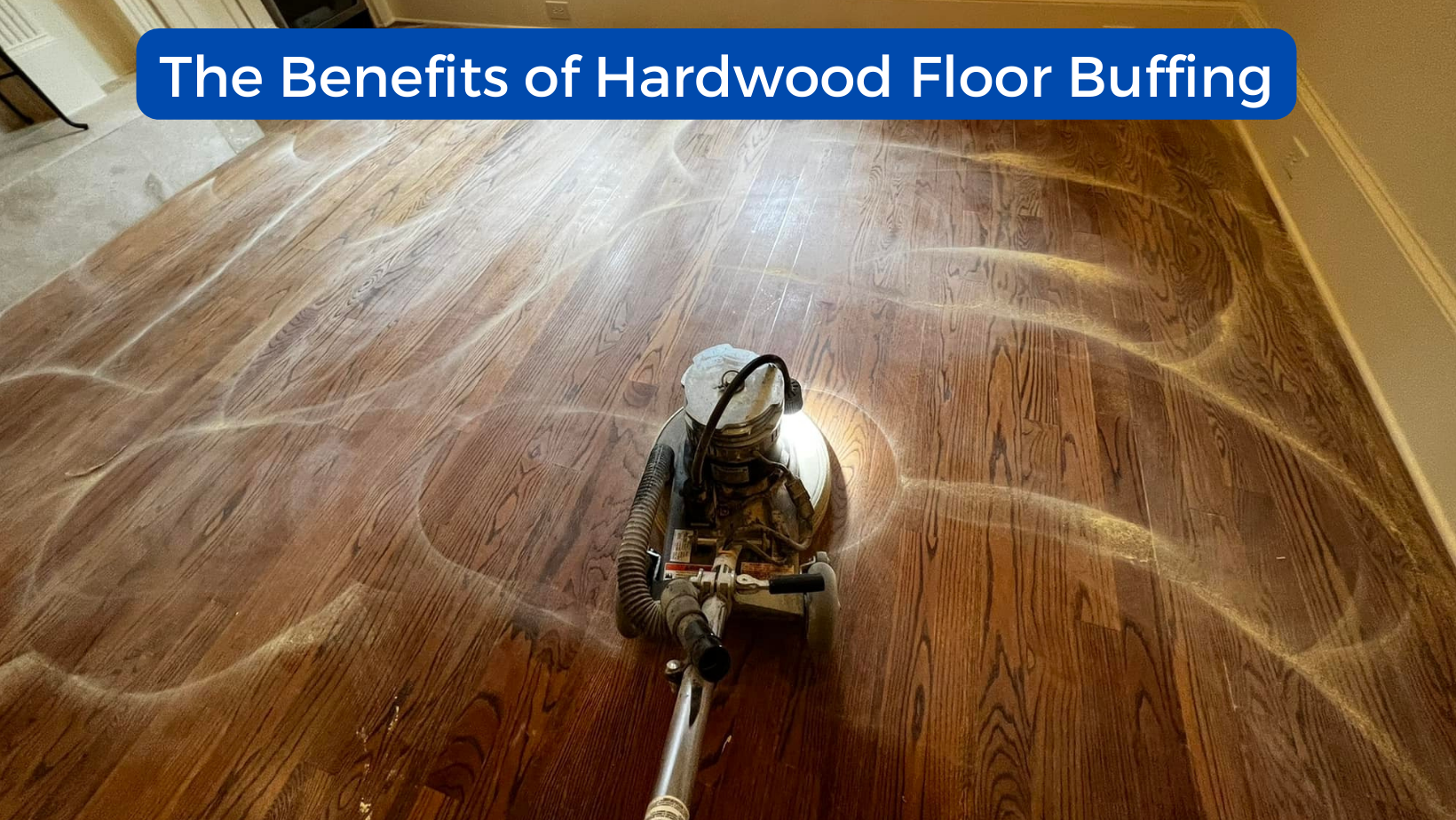 Hardwood Floor Buffing